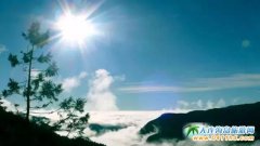 �_(t��i)��̫ƽɽ��(gu��)��ɭ���Θ��^(q��)�����С����g�ɾ��������Q