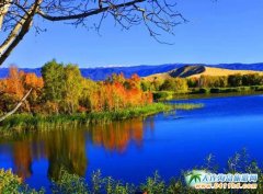 9���½����ι������½����{˹�o(w��)�ޱ���(gu��)�L(f��ng)��