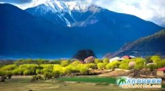 9��������֥��������ʰߔ̵��ͮ�(hu��)��D