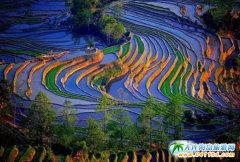 ����Ԫ�(y��ng)�������ι�����ʲô�r(sh��)��ȥԪ�(y��ng)�������