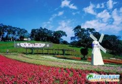 �_�����ξ��c�������_�����c������Εr�g