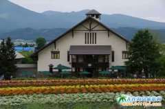 9�¡�10���ձ����������ι���