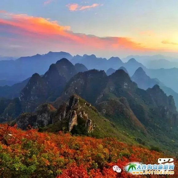 ���Tɽ����ɭ�ֹ��@