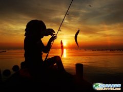 ����,�O,퍡�������u���D