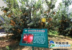 ��ʿ�_(d��)�O���������̡� (t��ng)����(l��)��׃�׸�����