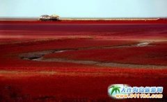 ������������ĵط������P(p��n)�\�t����