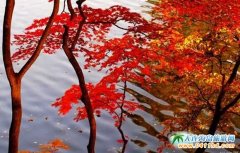 ��Ϫ�����~��ȥ̎����Ϫ�����~����Щ�ط��ã�