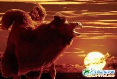 2015����Čð����������_Ľ����_Ļʽ����11��7���e�k