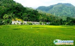 ����ע��Խ��Խ������B(t��i)���ź����B(t��i)����