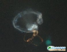 �½���(k��)�����@�F(xi��n)��������