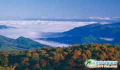 �{(l��n)�G���ӤΘO��������ʮ�����