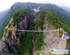 ���ҽ�Ĳ�������������(zh��n)