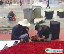 2015���H�ý���(hu��)�������ý���(hu��)����13���_Ļ