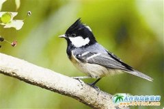 11�����ڴ��B��Ҋ���B