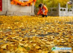 ��̶�����y�ӹ�(ji��)���ڱ�������ǧ��ʼҹńx̶�����_Ļ