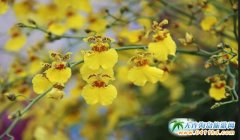 �������H�Ꭷ�m�����[�����ڽ���12��10���e�k