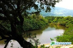 �����f����ʯ÷���ϵ���Ƥ��