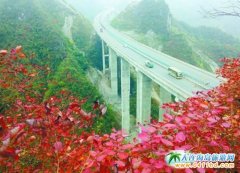 ���ҽ���ƺ�(zh��n)����ʯ�����L(f��ng)��������������