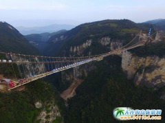 �����ׄ�(chu��ng)�����ҽ��{�Ȳ�����ɹ�����