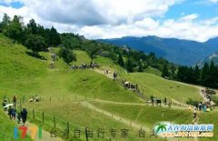 �_����ͯԒ���磬ͯȤ���������ԭ