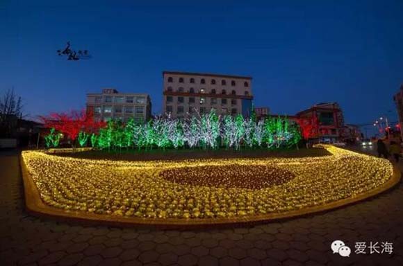 �L���V�������¡��G�ա�