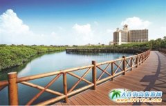 ���ϸ����t�䞳 �߶�ԭ���B(t��i)�����(xi��ng)Ŀ