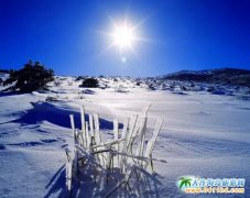 �����(j��)�ݍu���ι���������ȥ��(j��)�ݍu������Щ�������