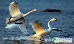 ����ɽ�|���κ�ȥ̎�����ս�