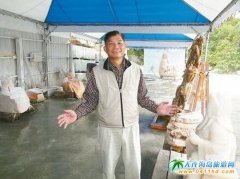 ��ꑸ��_(t��i)���ЈF(tu��n)�p�� ��ɏ���ΘI(y��)�ߑK�şoн��