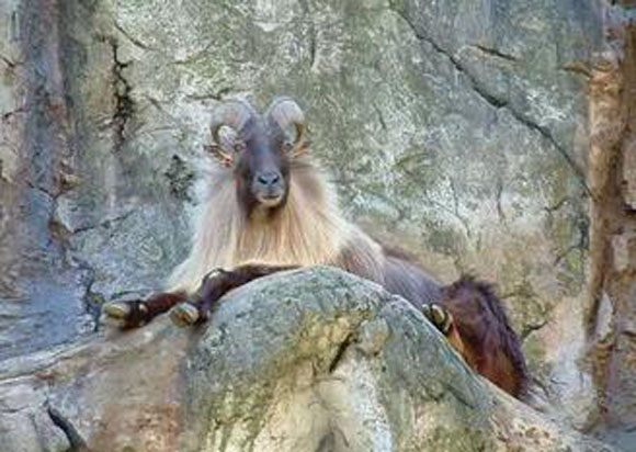 ��(n��i)�ɹ�һȺ��ͬ��푵ġ���