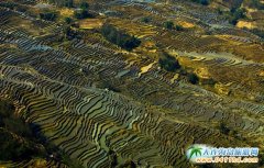 ��Ĵ�ص��ܽ�������Ԫ�(y��ng)����