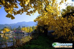 ߅����ҫ�۵����顪�v�_