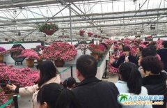 ��̶�P�����^�@���u����������10�󾰅^(q��)������