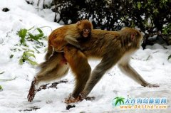 ����Դ���Ϫ�Ⱦ��^(q��)��ȺҰ���J������ˣ