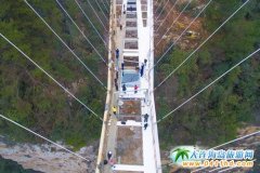 ���Տ��ҽ��{�Ȳ�������沣�����b�ɹ�