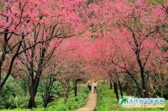 �_(t��i)���p�ѹ��ԣ��_(t��i)���ѻ�ʲô�r(sh��)���_���_(t��i)������Щ�ط��ѻ��ã�