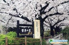 �y�w�µ���K���W(xu��)���܌W(xu��)С���ϵĻ��c��