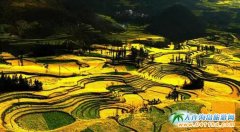 �Ĵ��Ͳ˻�ʲô�r���_���Ĵ��Ͳ˻������_��2��