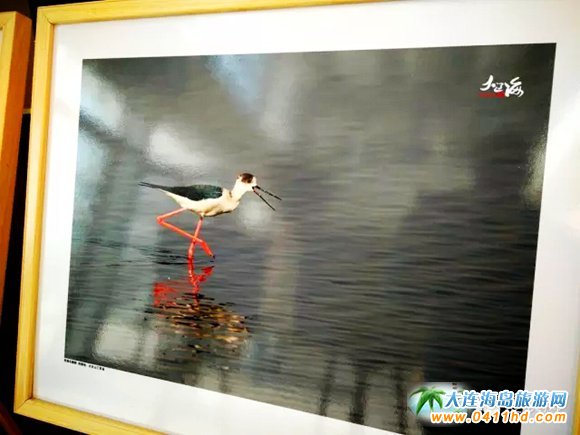 �L���h����