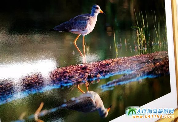 �L���h����