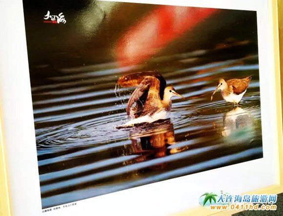 �����B(t��i)�L�����zӰչ