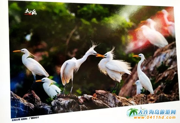 �����B(t��i)�L�����zӰչ