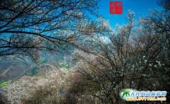 �\��f��÷�@2�µ��p������(d��ng)�r