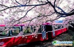 2016�_(t��i)���p����ʳ���Դ�ȫ���_(t��i)���p����ʳ��ȥ̎