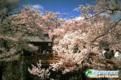 �ձ����h��ַ���@�p�ѻ��r�g