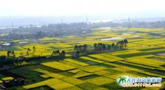 �Ĵ��ɶ���߅�p��������Щ�õط���