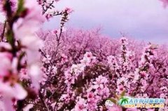 3����4�¶�����˹�p������