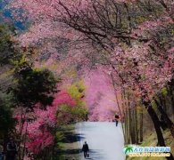 �_(t��i)���p���������_(t��i)������ס�ރr(ji��)����