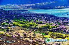 ��֥������G���L(f��ng)�⡪���_�Mɽ�ȵ�Ұ�һ�