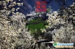 �Ĵ������ݽ������滨���ٴ����ºÕr��